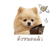 858309764