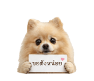 858309765