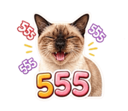 858310122