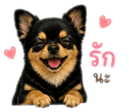 858310346