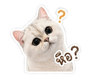 858310684