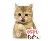 858310700