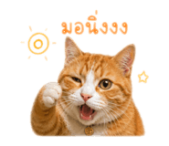 858310858