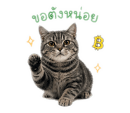 858311529
