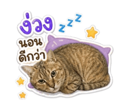 858311935