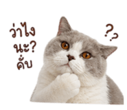 858312004