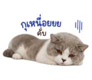 858312006