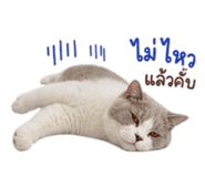 858312012