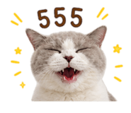 858312016