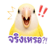 858312041