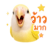 858312045
