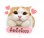 858313220