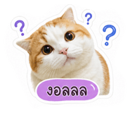 858313224