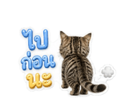 858313295