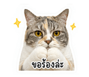 858313890