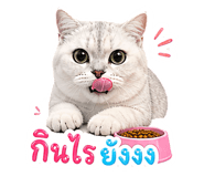 858314790