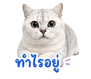858314792