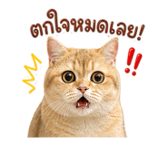 858314800