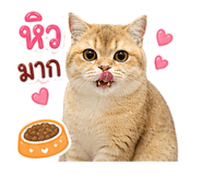858314802