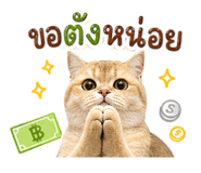 858314805