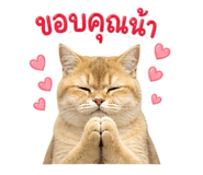 858314806