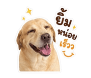 858314866