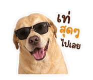 858314869