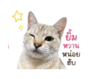 858315578