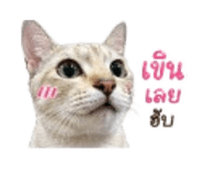 858315582