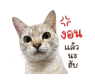 858315584