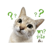 858315585