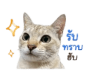 858315586