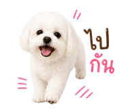 858315798