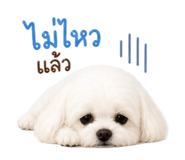 858315799