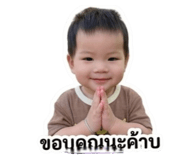 858316001