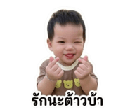 858316003