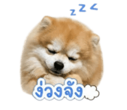 858316333