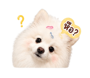 858318804
