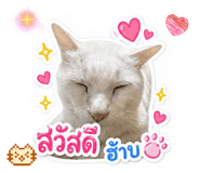 858318897