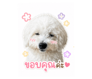 858319636