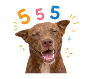 858320469