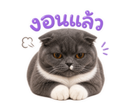 858321212
