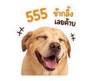 858322385