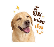 858322390