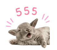 858323699