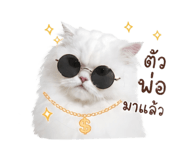 858324504