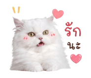 858324505