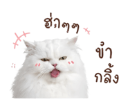 858324508