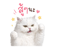858324529