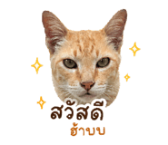 858325697